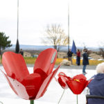 Red Poppies at the new Veterans Memorial in Livingston County.